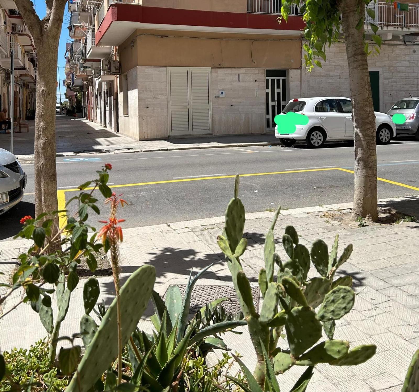Appartamento Centralissimo Zona Terme مارغريتا دي سافويا المظهر الخارجي الصورة